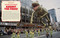 Let's Have a Parade! (Celebrating 100 Macy's Parades and the Making of an American Holiday Tradition) by Kim Keller, 9798886742947