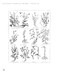 Culpeper's Complete Herbal by Nicholas Culpeper, Diana Vowles, 9781398873926