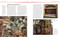 The Renaissance (Influences, Ideas, Inventions) by Phyllis Jestice, 9781398874329