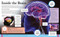 The Science Book (Discover the Secrets of Our Incredible World!) by Giles Sparrow, 9781398874770