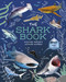 The Shark Book (Discover Nature's Ultimate Hunters) by Martin, 9781398874787