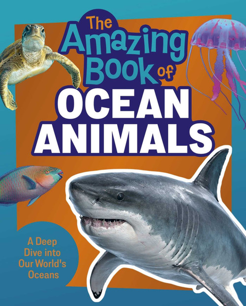 The Amazing Book of Ocean Animals (A Deep Dive into Our World's Oceans!) by Martin, 9781398875081