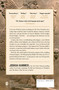 The Mesopotamian Riddle (An Archaeologist, a Soldier, a Clergyman, and the Race to Decipher the World's Oldest Writing) by Joshua Hammer, 9781668015452