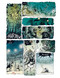Freaks' Squeele Vol. 6 by Florent Maudoux, Florent Maudoux, 9781962413695