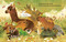 I'm a Capybara by Andrea Posner-Sanchez, Joey Chou, 9798217233304
