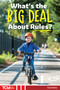 What's the Big Deal About Rules? by Dani Neiley, 9798330929641