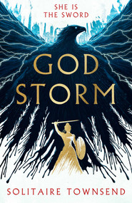 Godstorm (The Most High Octane and Original Fantasy Debut of 2026 (Godstorm 1)) by Solitaire Townsend, 9781835012598