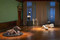 We Thought We Were Alone by Koen Vanmechelen, James Putnam, 9789059966895