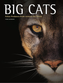 Big Cats (Feline Predators From Around The World) by Tom Jackson, 9781838867164