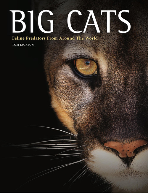 Big Cats (Feline Predators From Around The World) by Tom Jackson, 9781838867164