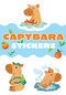 Capybara Stickers by Amber Maine, 9780486857312