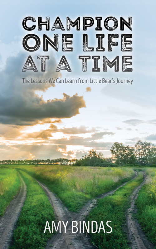 Champion One Life at a Time (The Lessons we can learn from Little Bear's Journey) by Amy Bindas, 9781942586470
