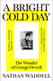 A Bright Cold Day (The Wonder of George Orwell) by Nathan Waddell, 9780861549788