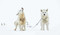 Echoes of the Pack by Guadalupe Laiz, 9781923094314