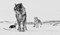 Echoes of the Pack by Guadalupe Laiz, 9781923094314