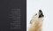 Echoes of the Pack by Guadalupe Laiz, 9781923094314