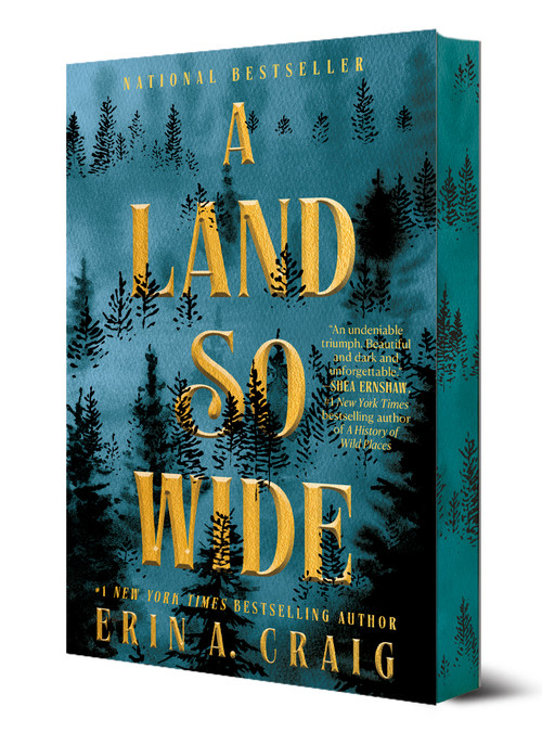 A Land So Wide (A Novel) by Erin A. Craig, 9780593686812