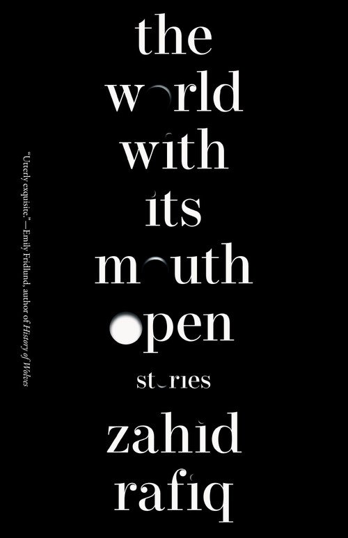 The World With Its Mouth Open by Zahid Rafiq, 9781959030850