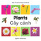 My First Bilingual Book-Plants (English-Vietnamese) by Milet Publishing, 9781840598896