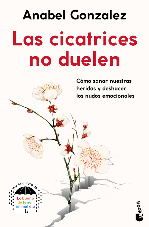 Las cicatrices no duelen / Scars Don't Hurt (Spanish Edition) by Anabel Gonzalez, 9786073940665