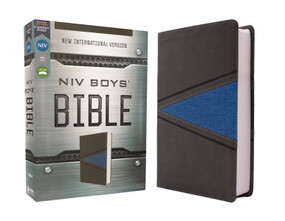 NIV, Boys' Bible, Leathersoft, Gray/Blue, Comfort Print by Zondervan, 9780310768845