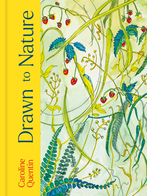 Drawn to Nature by Caroline Quentin, 9781805701347
