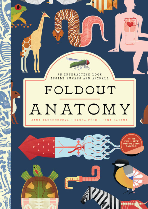Foldout Anatomy (An Interactive Look Inside Humans and Animals) by Jana Albrechtová, Radka Píro, Lida Larina, 9781638191292