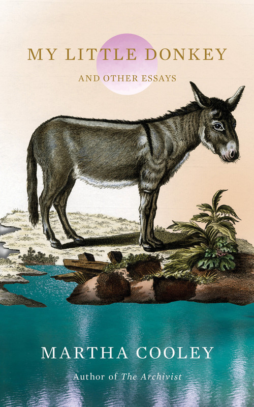 My Little Donkey (And Other Essays) by Martha Cooley, 9781646223619