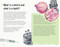 The Sketch a Day Card Deck (365 inspiring prompts for daily creativity) by Susan Yeates, 9781800924574