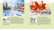 Watercolour (The ultimate guide to loose, expressive watercolour painting) by Tom Shepherd, 9781800923164
