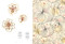 Glanzstücke - Van Cleef & Arpels (High Jewelry x Masterpieces from the MAK Collection) (Bilingual Edition) by Alexandrine Maviel-Sonet, Anne-Katrin Rossberg, Tsuyoshi Tane, 9789493531031