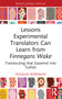 Lessons Experimental Translators Can Learn from Finnegans Wake (Translouting that Gaswind into Turfish) by Douglas Robinson, 9781032746890