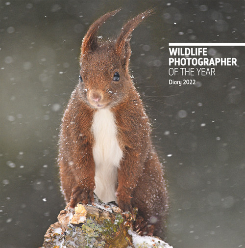 Wildlife Photographer of the Year Pocket Diary 2022 by Natural History Museum, 9780565095079