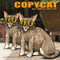 Copycat (and a Litter of Other Cats) by David Yow, 9781617752704