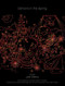 Demons in the Spring by Joe Meno, 9781936070091