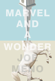 Marvel and a Wonder by Joe Meno, 9781617753930