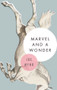 Marvel and a Wonder by Joe Meno, 9781617753947