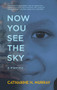 Now You See the Sky by Catharine H. Murray, 9781617756665