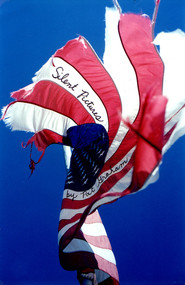 Silent Pictures by Pat Graham, 9781933354422