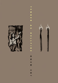 Tender As Hellfire by Joe Meno, 9781933354309