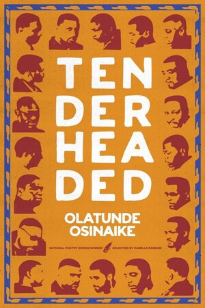 Tender Headed by Olatunde Osinaike, 9781636141411