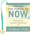 Wisdom from The Power of Now (Mini Book) (Meditations for Spiritual Enlightenment) by Eckhart Tollle, Peter Pauper Press Inc., 9781441348753
