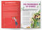 True Childhood Stories of World's Greatest: Innovators And Inventors by Wonder House Books, 9789370896918