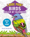 Large Print Color by Numbers Birds (Easy-to-Read) by David Woodroffe, 9781398809499