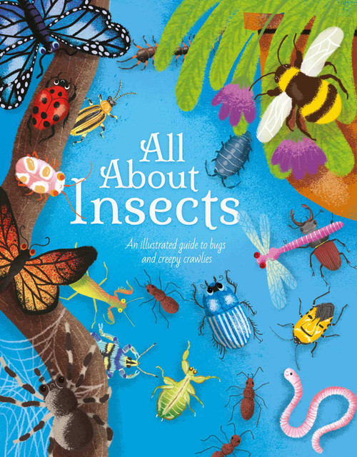 All About Insects (An illustrated guide to bugs and creepy-crawlies) by Cheeseman, 9781398819931