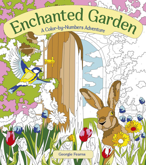 Enchanted Garden: A Color-by-Numbers Adventure by Fearns, 9781398850347