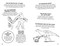 Brain Food! Why Was T. Rex Mostly Armless? (400 Fun Facts About Dinosaurs) by William Potter, Diego Jiménez, 9781398877283