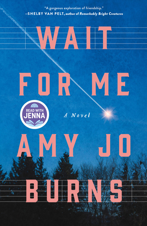 Wait for Me (A Novel) by Amy Jo Burns, 9781250399328