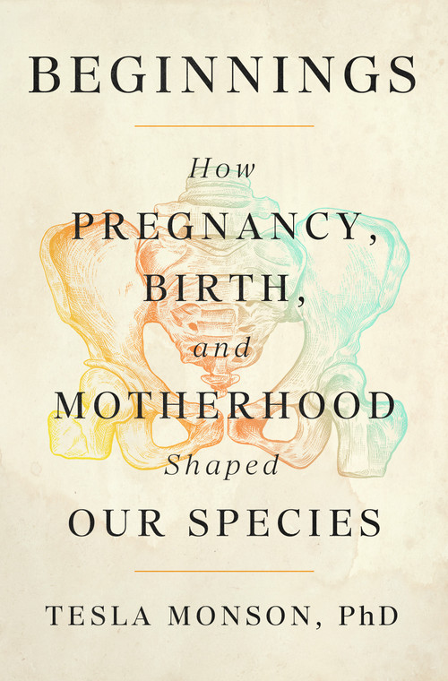 Beginnings (How Pregnancy, Birth, and Motherhood Shaped Our Species) by Tesla Monson, , PhD, 9781250388681