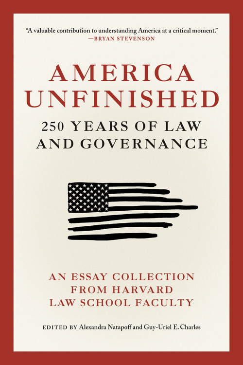 America Unfinished (250 Years of Law and Governance) by Alexandra Natapoff, Guy-Uriel E. Charles, 9780262060431
